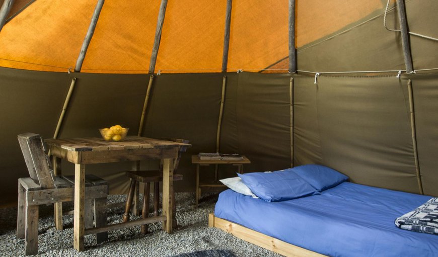 Magic TiPi: Photo of the whole room