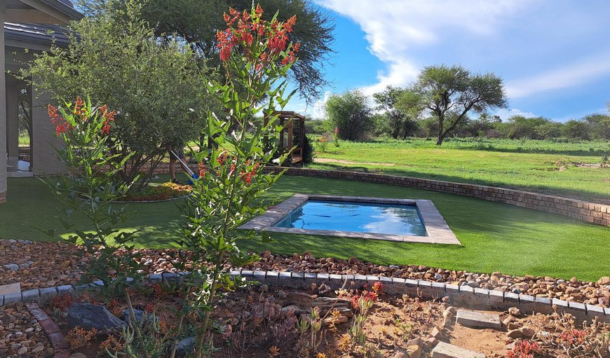 Pool view in Dinokeng Game Reserve, Gauteng, South Africa