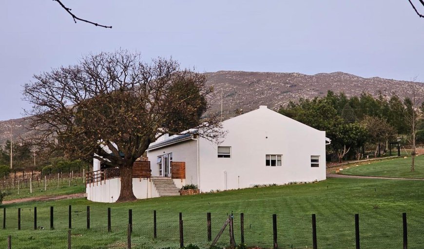 Comfort Three-Bedroom Cottage: Bed