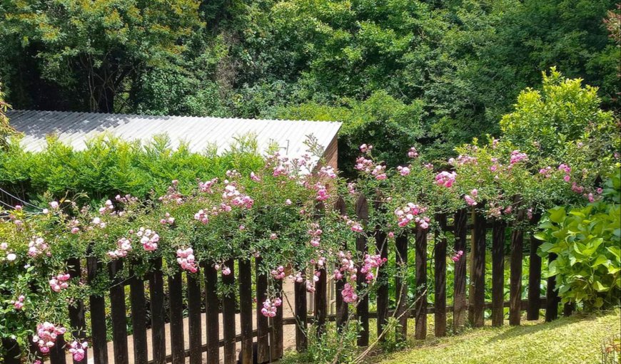 Garden in Hilton, KwaZulu-Natal, South Africa