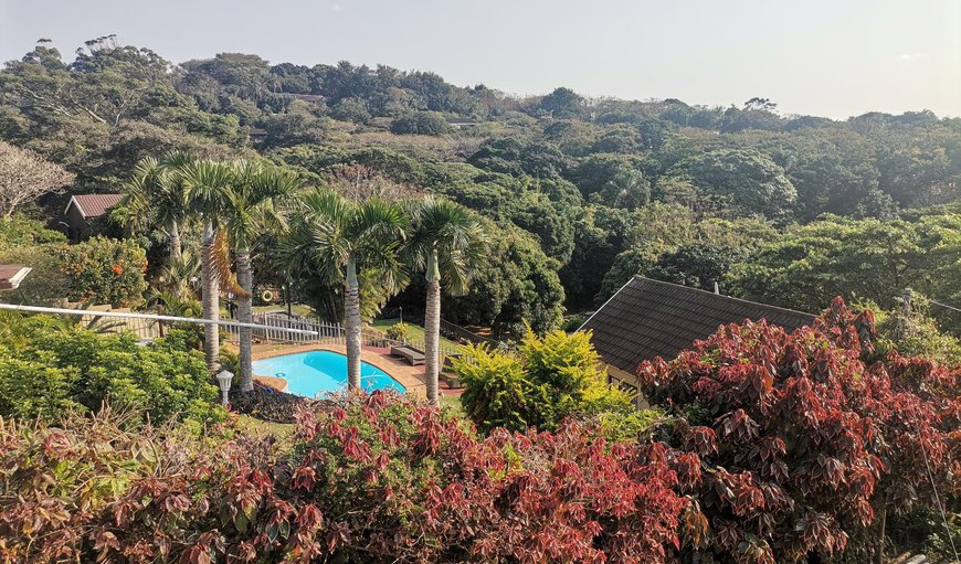 Pool view in Anerly, Durban, KwaZulu-Natal, South Africa