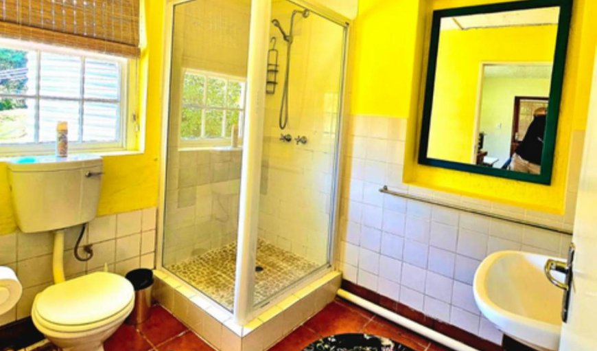 One Bedroom Cottage: Shower