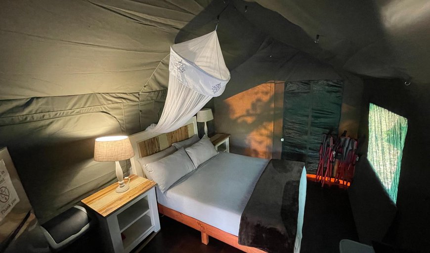 Luxury Tent: Bed