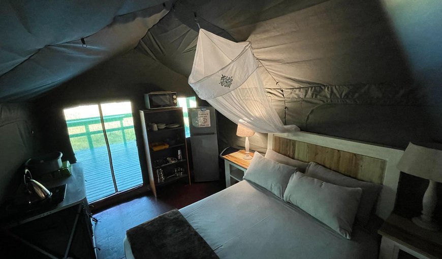 Luxury Tent: Photo of the whole room