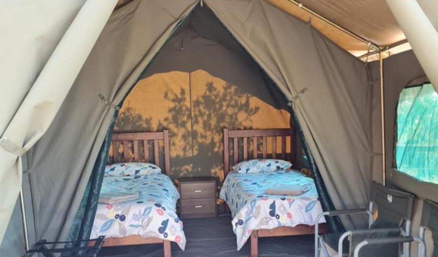 Bush Camp: Bed