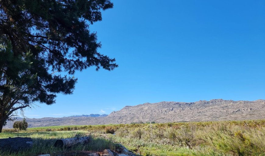 Basic Group Campsite: View (from property/room)