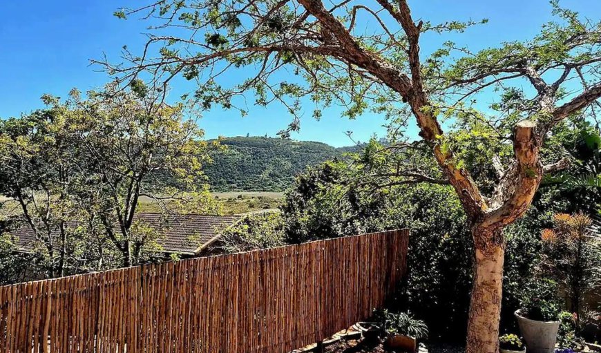 Garden in Wilderness, Western Cape, South Africa