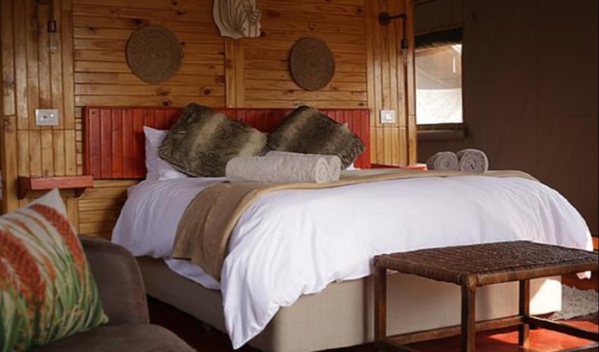 Luxury Safari Queen Tents: Luxury Safari Queen Tent