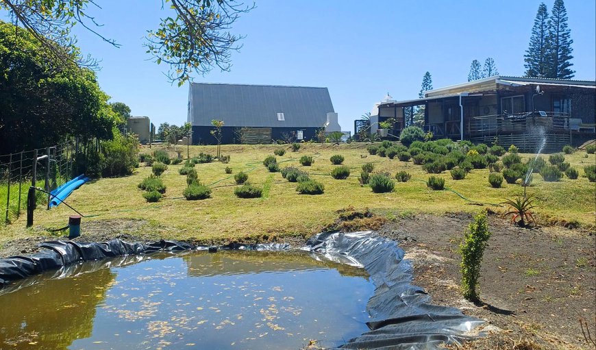 Welcome to The Jbaynian Guest House - Lemon Thyme and Lavender in Paradise Beach, Jeffreys Bay, Eastern Cape, South Africa