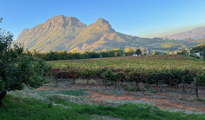 Mountain view in Banhoek, Stellenbosch, Western Cape, South Africa