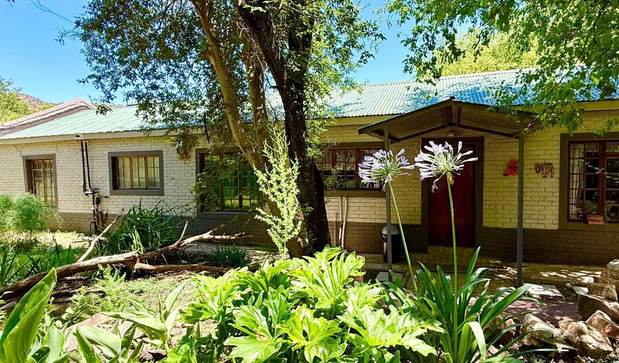 Large One Bedroom Chalet: Photo of the whole room