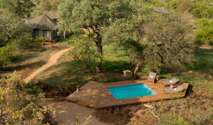 Swimming pool in Timbavati Nature Reserve, Mpumalanga, South Africa