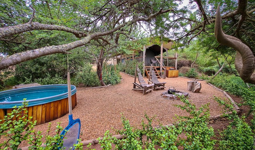 Family Safari Tent: View (from property/room)