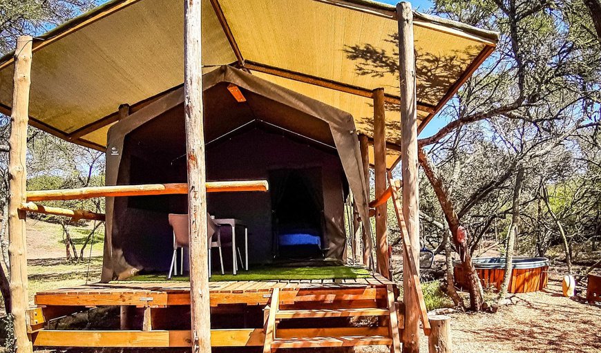 Double Bed Safari Tent: View (from property/room)