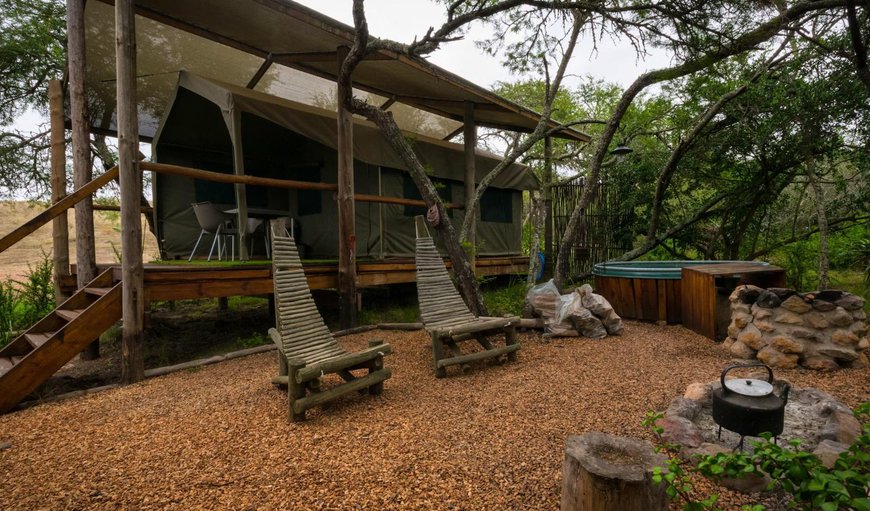 Double Bed Safari Tent: View (from property/room)