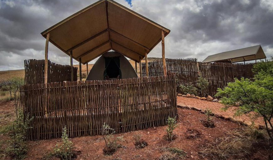 Dome Tents: View (from property/room)