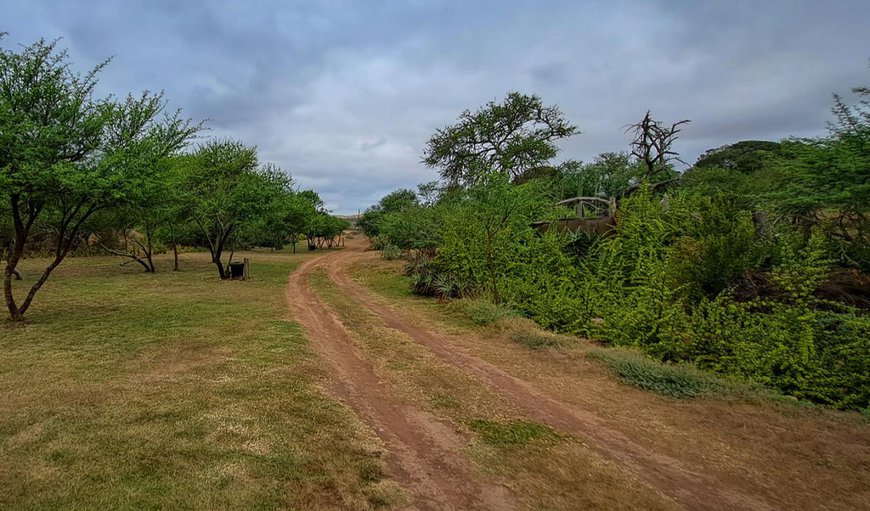 Campsites: View (from property/room)