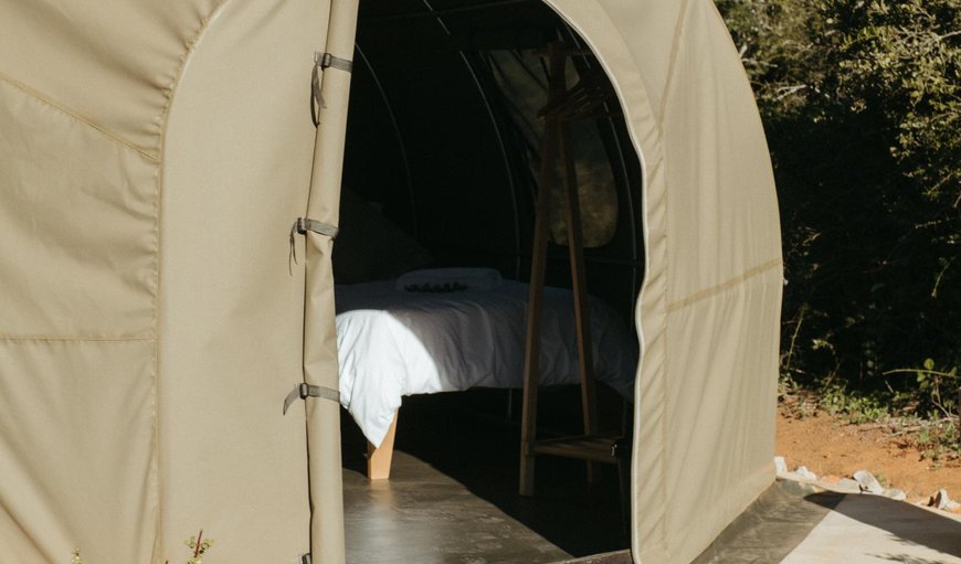 Twin Glamping Tent: View (from property/room)