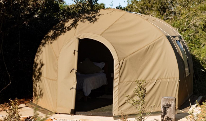 Queen Glamping Tent: View (from property/room)