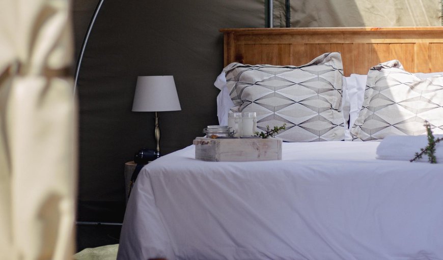 Queen Glamping Tent: Bed