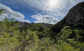 Krugerskop-Kloof Wilderness Camp image