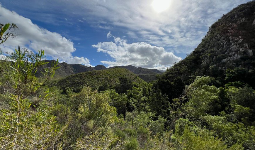 Mountain view in Baviaanskloof, Eastern Cape, South Africa