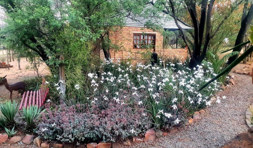 Garden in Cullinan, Gauteng, South Africa