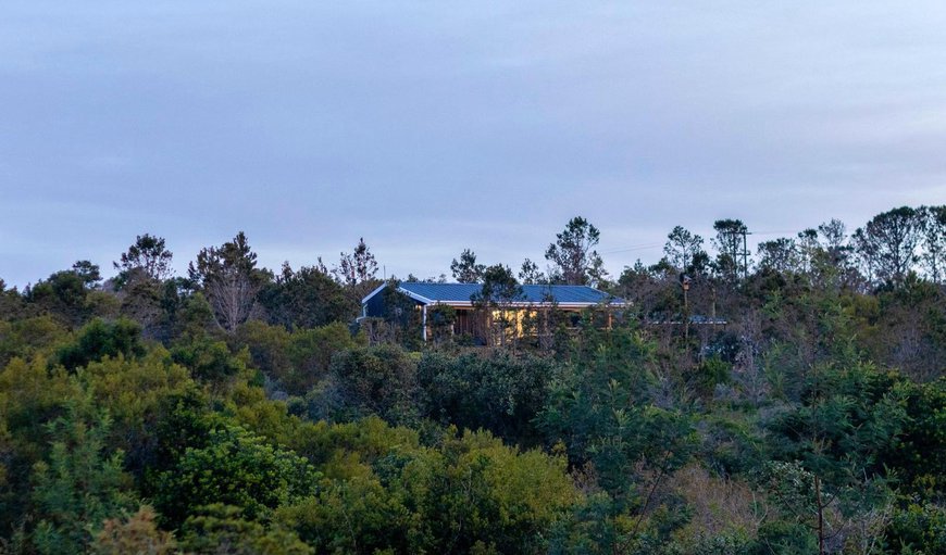 Natural landscape in Kabeljous, Jeffreys Bay, Eastern Cape, South Africa