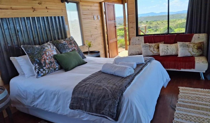 Tree-Top Cabin: Photo of the whole room