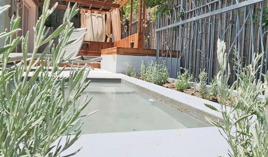 Pool view in Hout Bay, Cape Town, Western Cape, South Africa