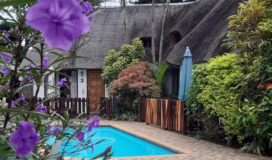 Garden view in Shelly beach, KwaZulu-Natal, South Africa