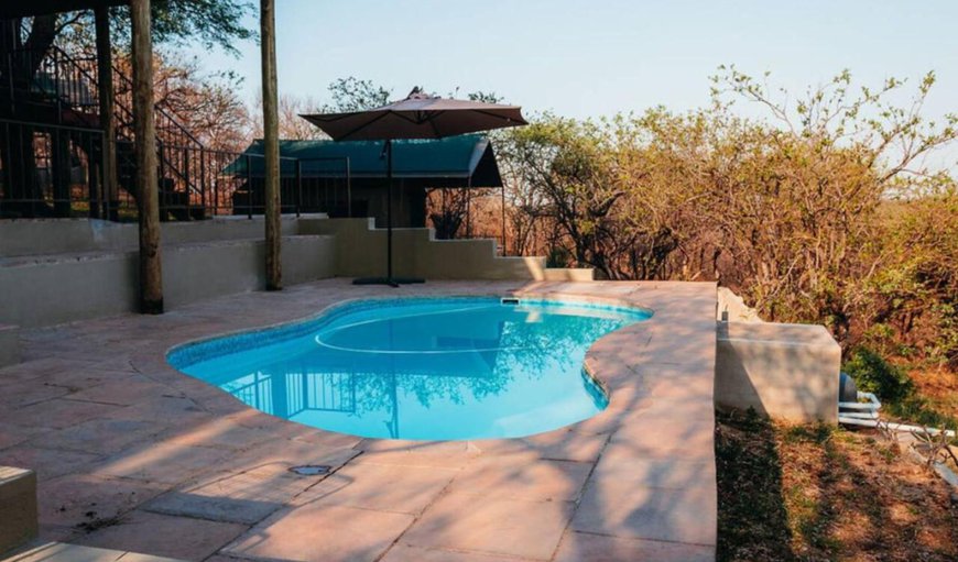 Swimming pool in Hoedspruit, Limpopo, South Africa