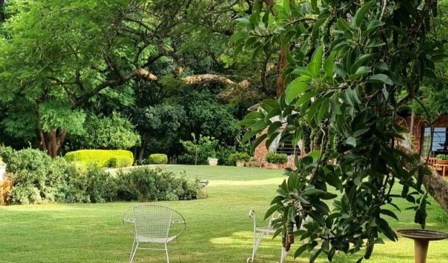 Garden in Newcastle, KwaZulu-Natal, South Africa