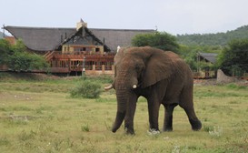 Tau Game Lodge image