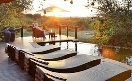 Motswiri Private Safari Lodge image