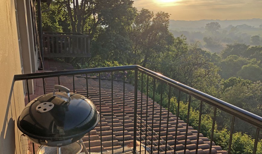 Hadeda: Weber on balcony with morning view