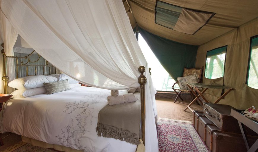Meru Safari Tent 2: Photo of the whole room